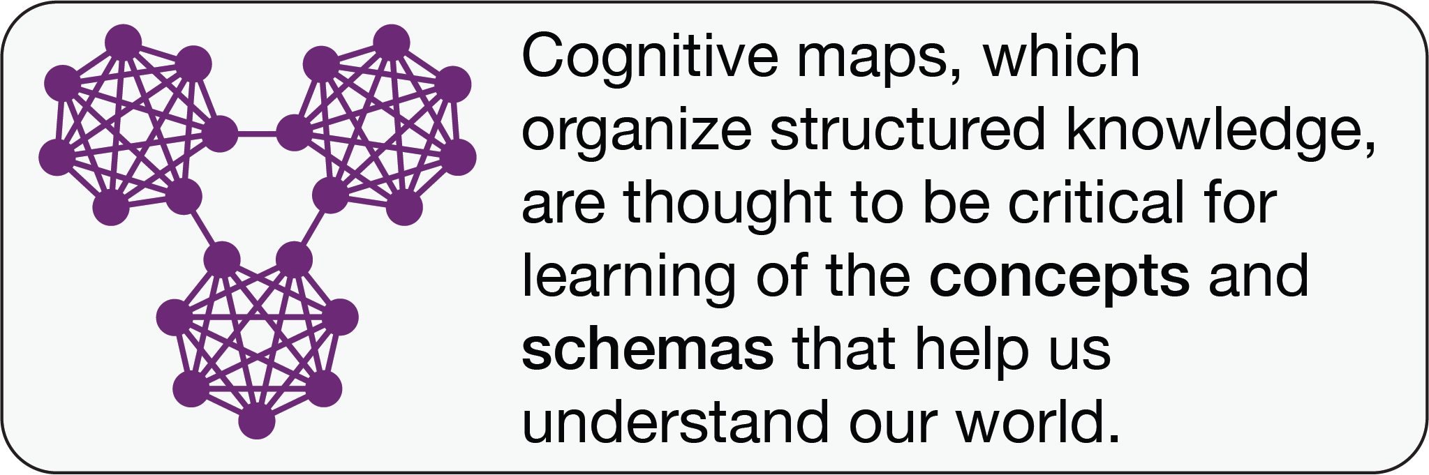 Cognitive maps, which organize structured knowledge, are thought to be critical for learning of the concepts and schemas that help us understand our world.