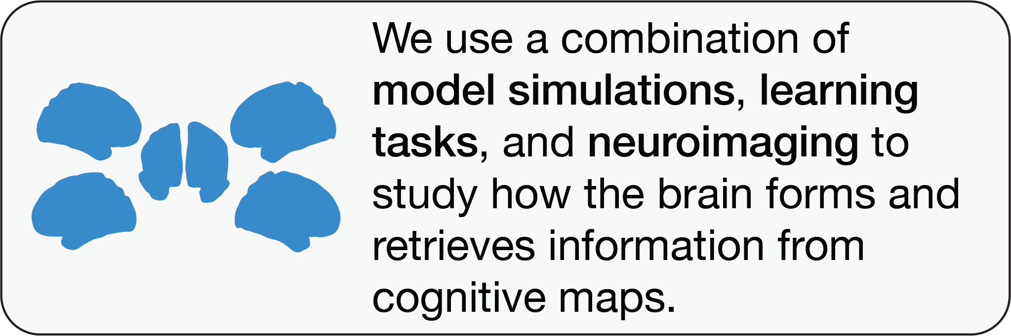 We use a combination of model simulations, learning task, and neuroimaging to study how the brain forms and retrieves information from cognitive maps.